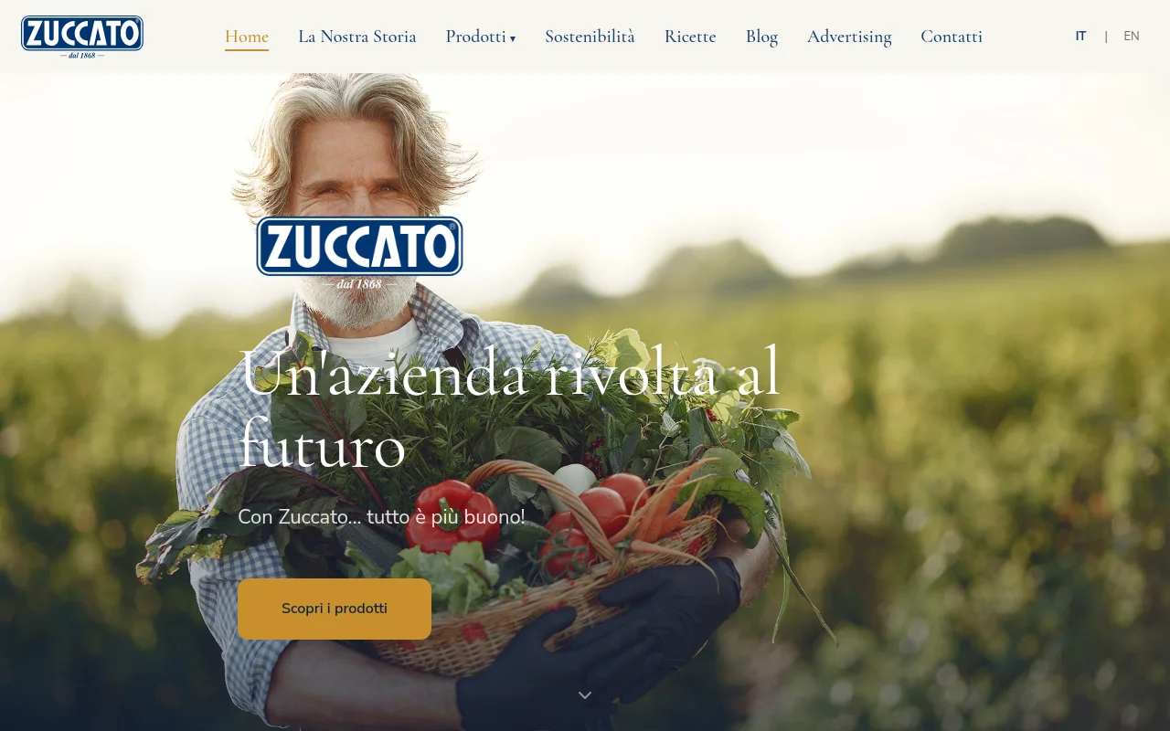 Zuccato — anteprima della vera homepage